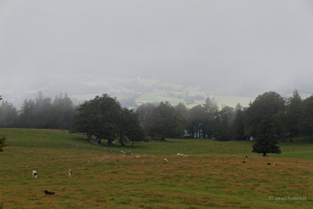 20140826_0241